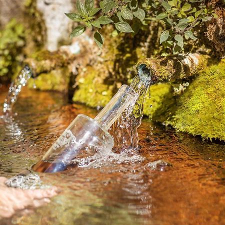 Le Cocon De La Source - Votre Sejour Au Frais En Provence Verte Διαμέρισμα Cotignac Εξωτερικό φωτογραφία