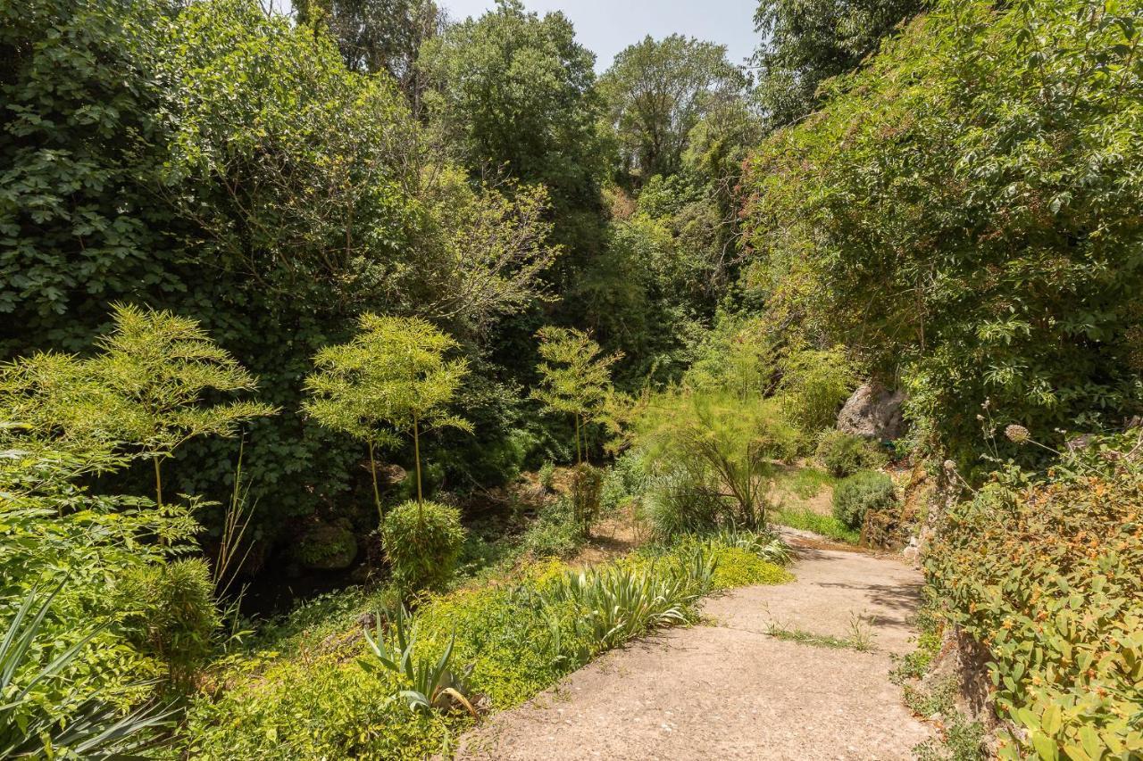 Le Cocon De La Source - Votre Sejour Au Frais En Provence Verte Διαμέρισμα Cotignac Εξωτερικό φωτογραφία