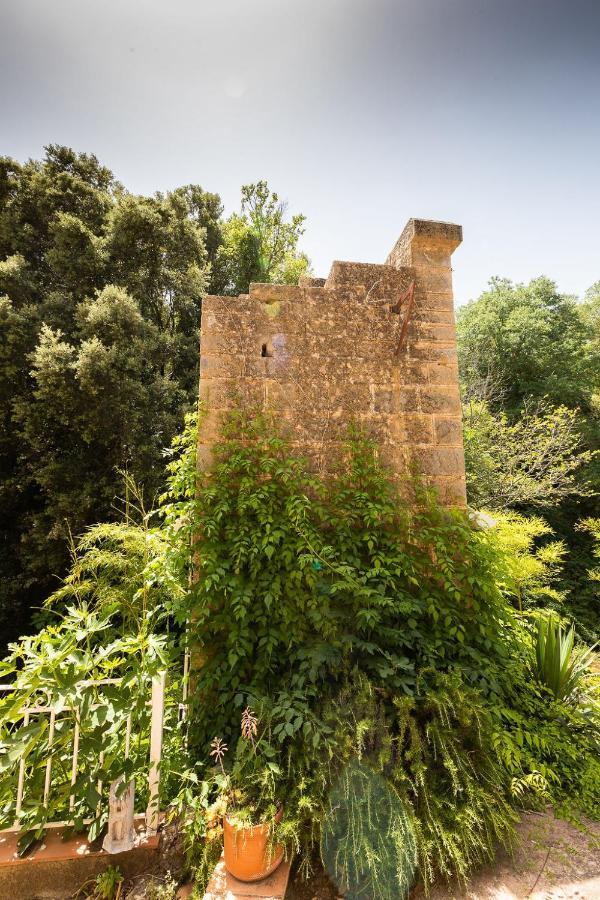 Le Cocon De La Source - Votre Sejour Au Frais En Provence Verte Διαμέρισμα Cotignac Εξωτερικό φωτογραφία