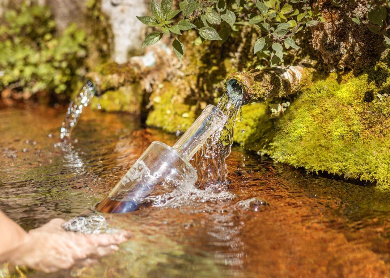 Le Cocon De La Source - Votre Sejour Au Frais En Provence Verte Διαμέρισμα Cotignac Εξωτερικό φωτογραφία